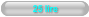 25 lire