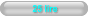 25 lire