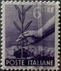 “ taglio chirurgico “