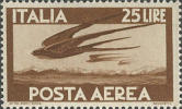 Rondini sulle Alpi, bruno