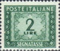 Cifra in ornato. Verde scuro.