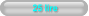 25 lire