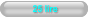 25 lire