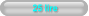 25 lire