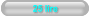 25 lire
