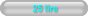 25 lire