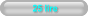 25 lire