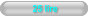 25 lire