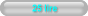 25 lire