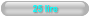 25 lire
