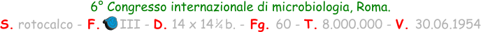 1 4 6° Congresso internazionale di microbiologia, Roma.  S. rotocalco - F.     III - D. 14 x 14   b. - Fg. 60 - T. 8.000.000 - V. 30.06.1954