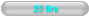 25 lire