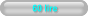60 lire