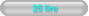 25 lire