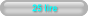 25 lire