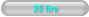 25 lire