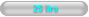 25 lire