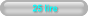 25 lire