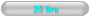 25 lire