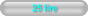 25 lire