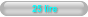 25 lire