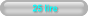 25 lire