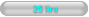 25 lire