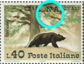 “ grossa virgola giallo-rossa sotto la N di Nazionale ”