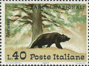 D’ Abruzzo, orso bruno, policromo.