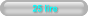 25 lire