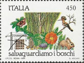“ colore chiaro “