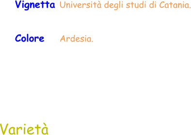 Colore   Ardesia. Varietà Vignetta Università degli studi di Catania.