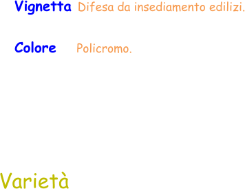 Varietà Vignetta Difesa da insediamento edilizi. Colore     Policromo.