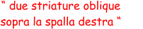 “ due striature oblique  sopra la spalla destra “