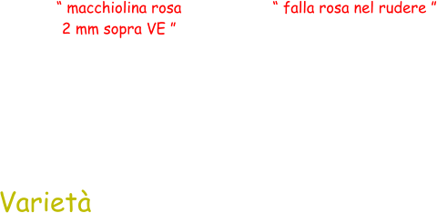 “ macchiolina rosa  2 mm sopra VE ” “ falla rosa nel rudere ” Varietà