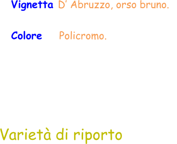 Colore     Policromo.  Varietà di riporto Vignetta D’ Abruzzo, orso bruno.