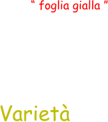 “ foglia gialla ” Varietà