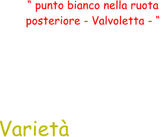 “ punto bianco nella ruota  posteriore - Valvoletta - “ Varietà