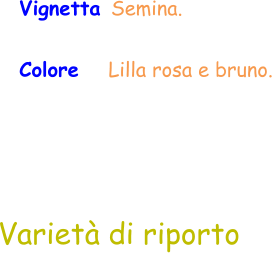 Vignetta Semina. Colore   Lilla rosa e bruno.  Varietà di riporto