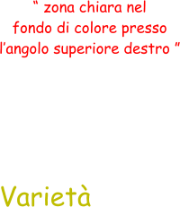 “ zona chiara nel  fondo di colore presso  l’angolo superiore destro ” Varietà