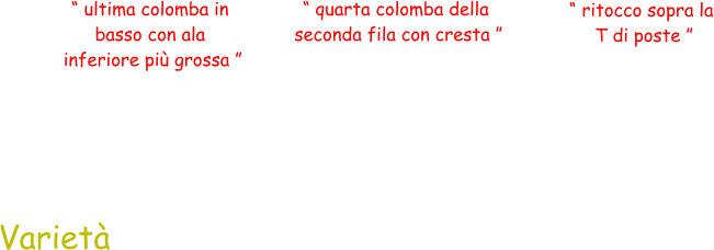 “ ultima colomba in  basso con ala  inferiore più grossa ” “ quarta colomba della  seconda fila con cresta ” “ ritocco sopra la  T di poste ” Varietà