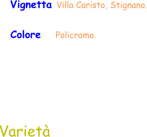 Varietà Vignetta Villa Caristo, Stignano. Colore     Policromo.