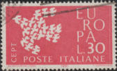 “ linea bianca ”