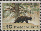 “ dentellatura spostata ”
