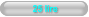 25 lire
