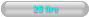 25 lire