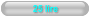 25 lire