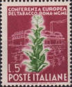 Tabacco varietà «Bright Italia», amaranto e verde.