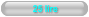 25 lire