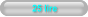 25 lire